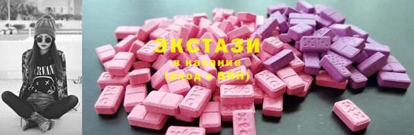 гашик Няндома