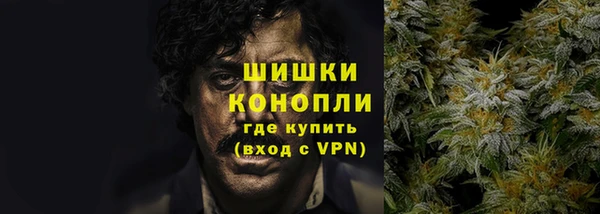 гашик Няндома