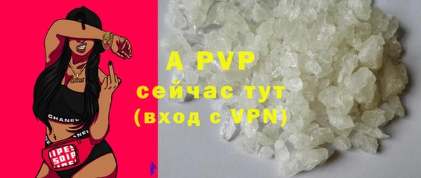 прущие грибы Весьегонск