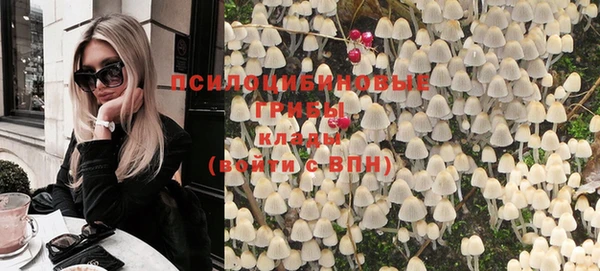 хмурый Новозыбков