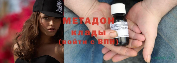 гашик Няндома