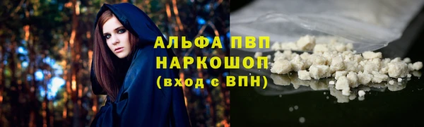 СК Новокубанск