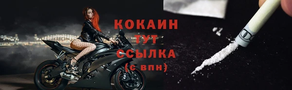 хмурый Новозыбков