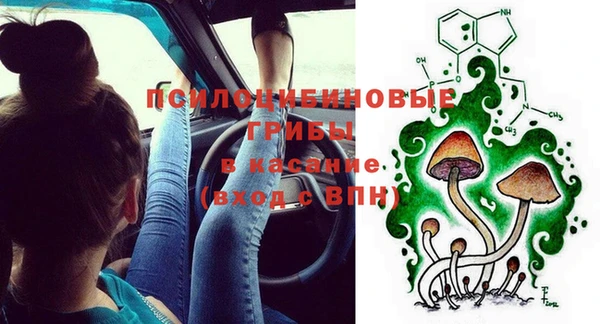СК Новокубанск