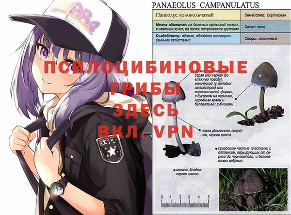 гашик Няндома
