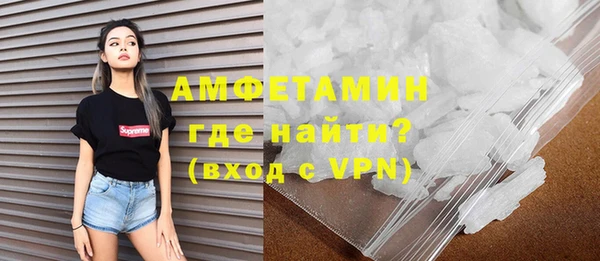 гашик Няндома