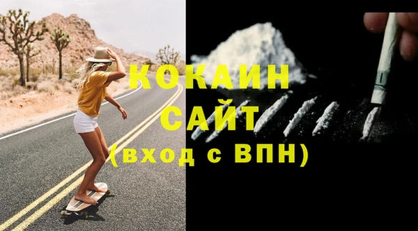 гашик Няндома