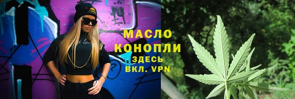 гашик Няндома