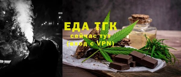 гашик Няндома
