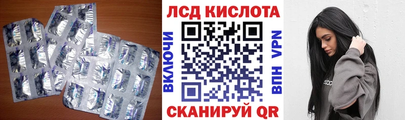 kraken как войти  Новозыбков  LSD-25 экстази ecstasy  как найти закладки 