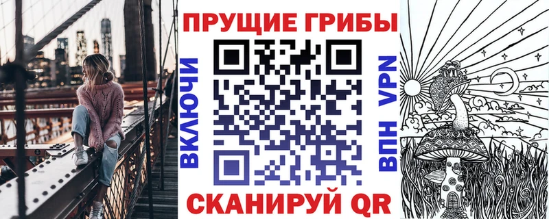Псилоцибиновые грибы Magic Shrooms  ОМГ ОМГ вход  Новозыбков 