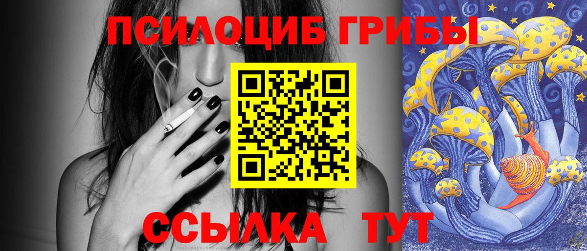 Псилоцибиновые грибы прущие грибы Новозыбков