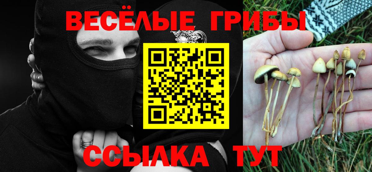 Псилоцибиновые грибы мухоморы  Вход с VPN  Новозыбков 