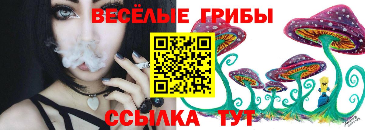 Псилоцибиновые грибы мухоморы Новозыбков