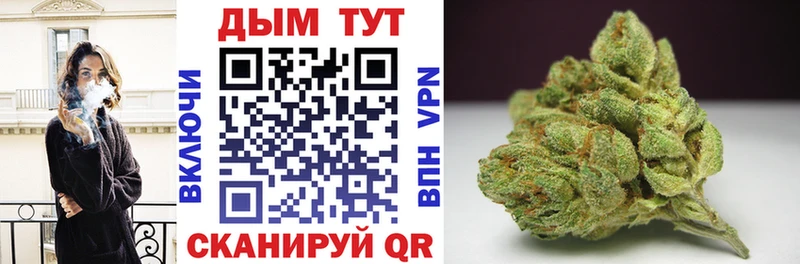 кракен ТОР  Новозыбков  Каннабис OG Kush 